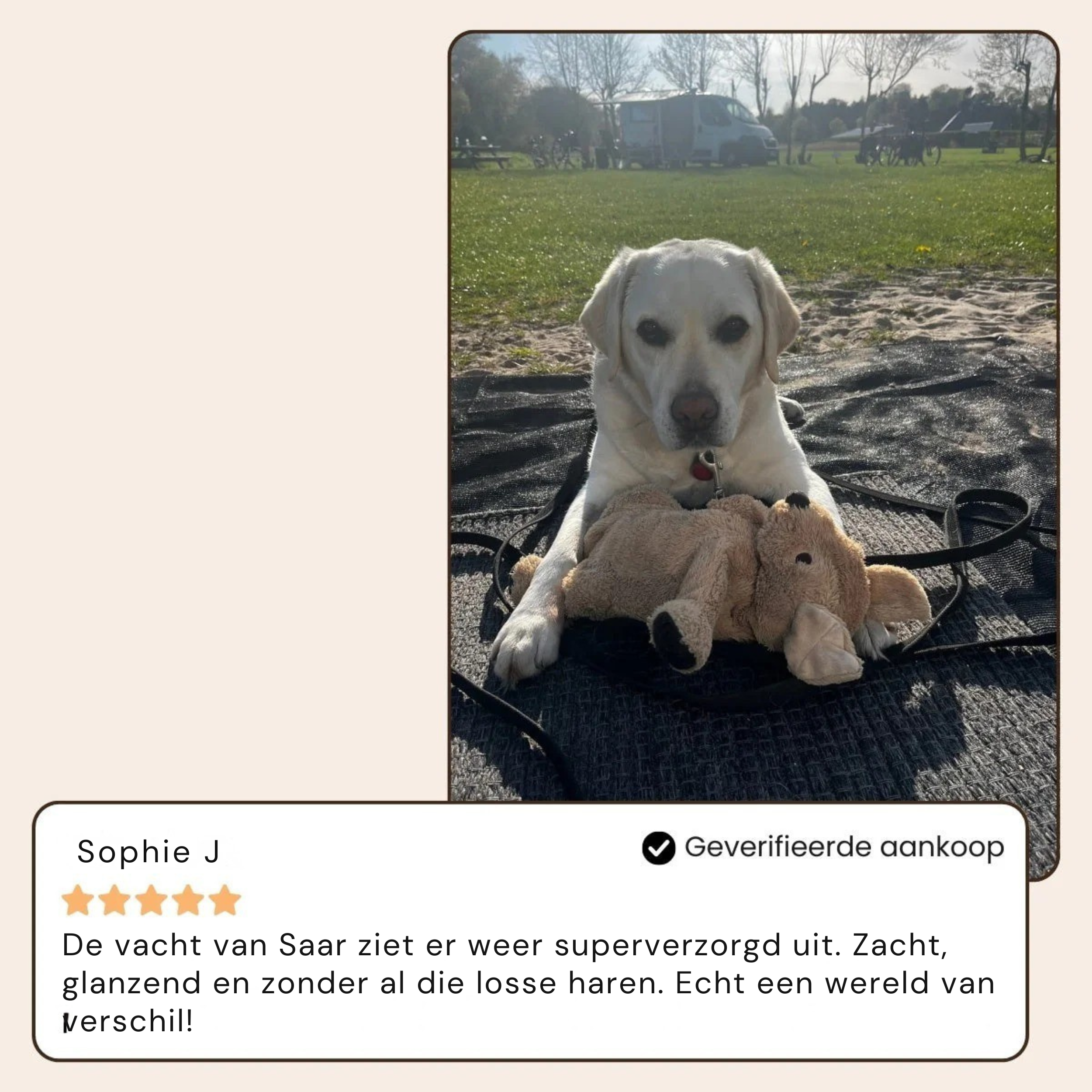 NuvoraPets® SteamBrush Pro - Professionele Vachtverzorgings Borstel voor Huisdieren