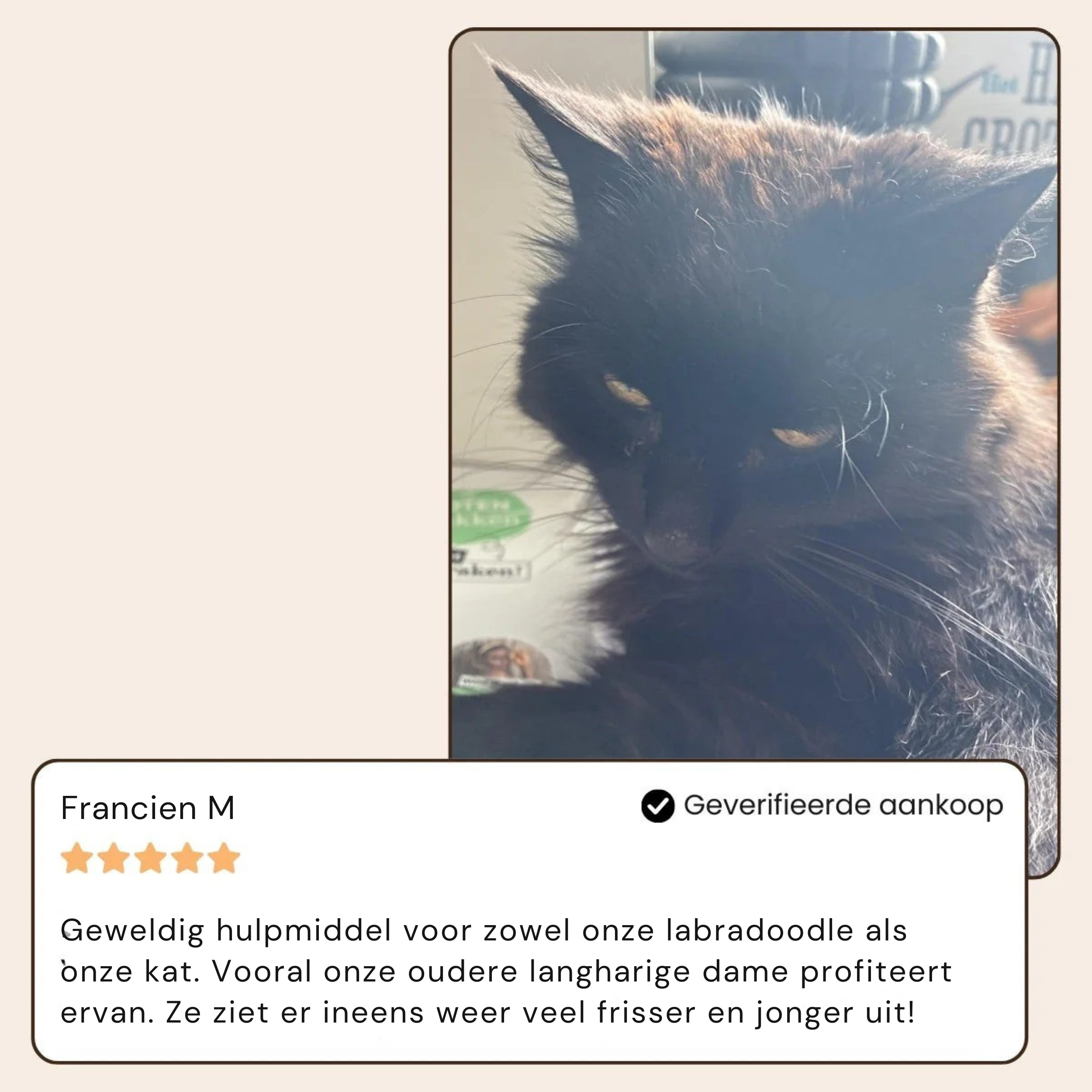 NuvoraPets® SteamBrush Pro - Professionele Vachtverzorgings Borstel voor Huisdieren