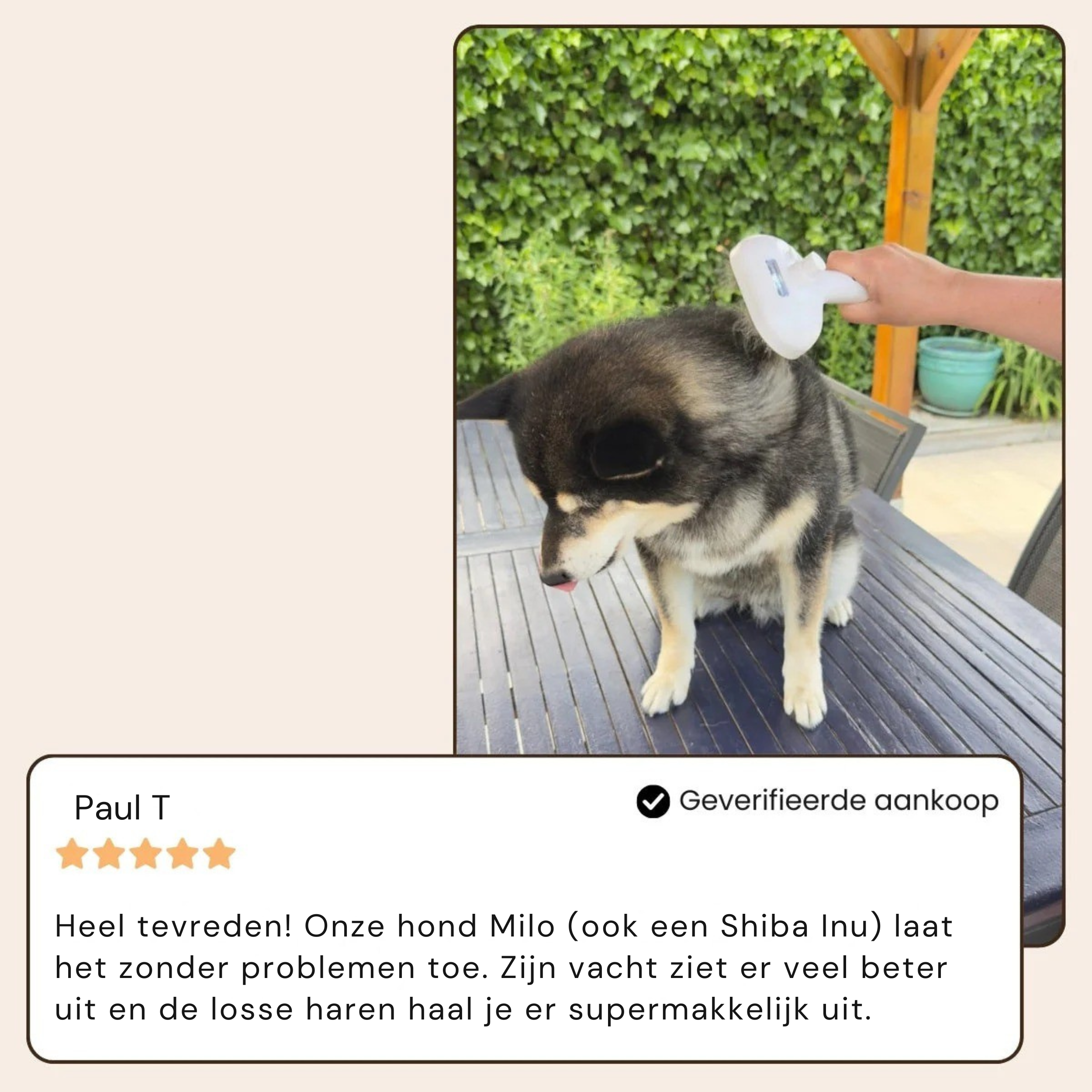 NuvoraPets® SteamBrush Pro - Professionele Vachtverzorgings Borstel voor Huisdieren