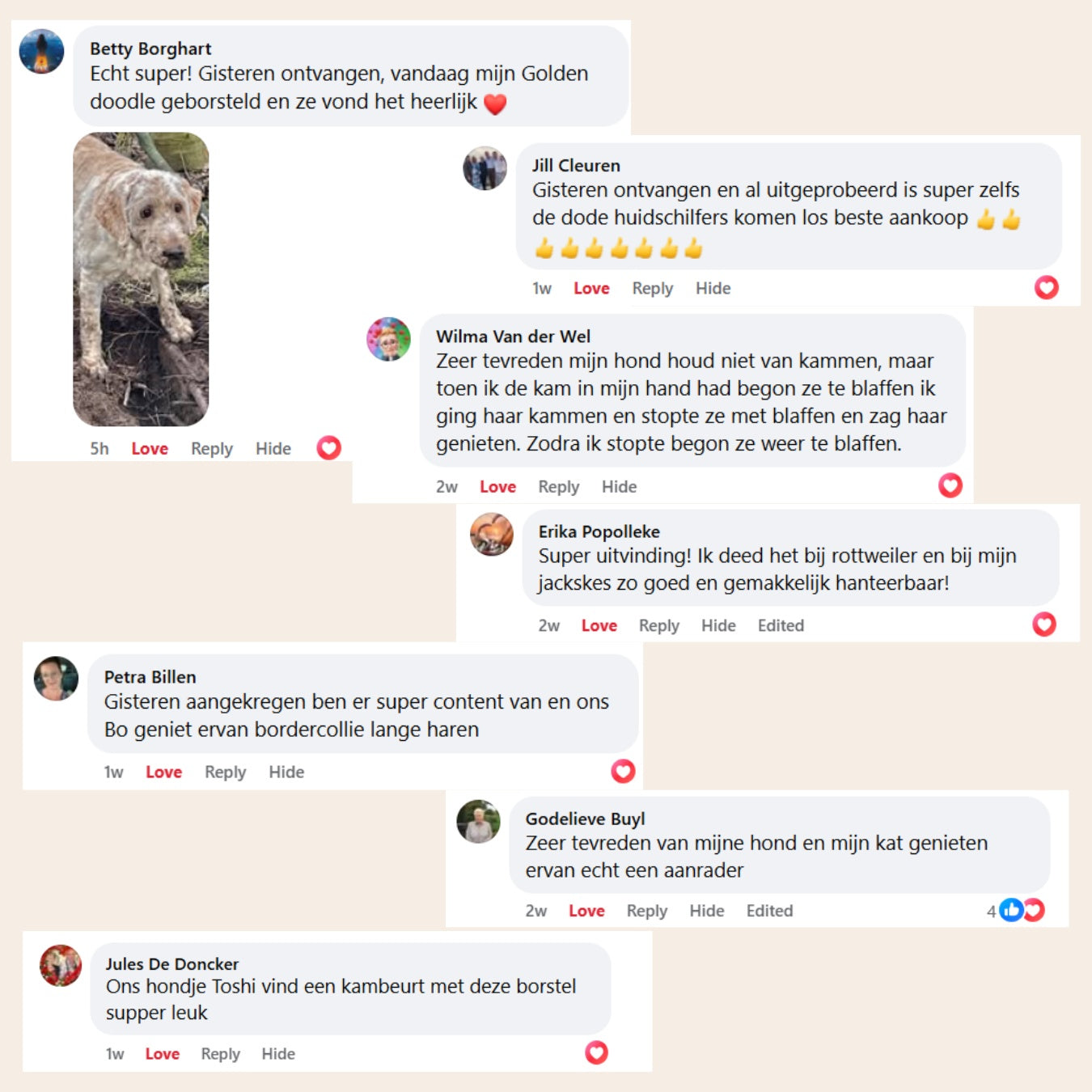 NuvoraPets® SteamBrush Pro - Professionele Vachtverzorgings Borstel voor Huisdieren